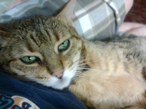 © Patrick J. Gray 2014